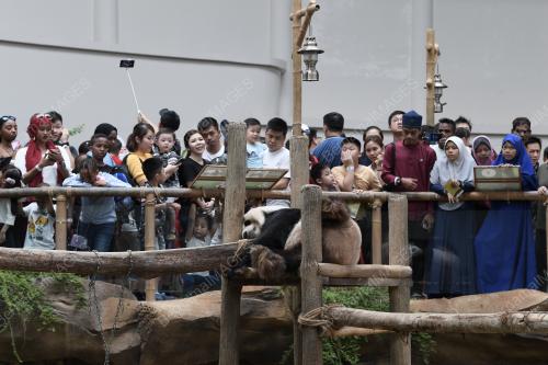 KL09_06062019_ZOO_RAYA