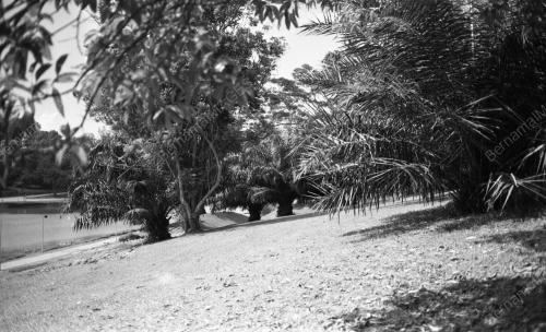 KL09_07092015_TASIK
