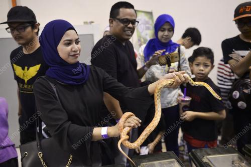 KL09_07102018_PET_EXPO