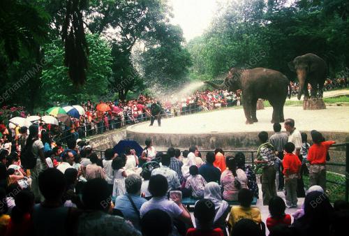 ZOO NEGARA