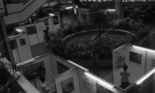 PAMERAN "BEAUTIFUL KOREA"