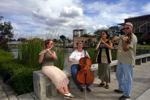 ADELAIDE SYMPHONY ORCHESTRA