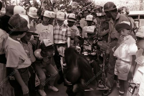 MASKOT HSBC