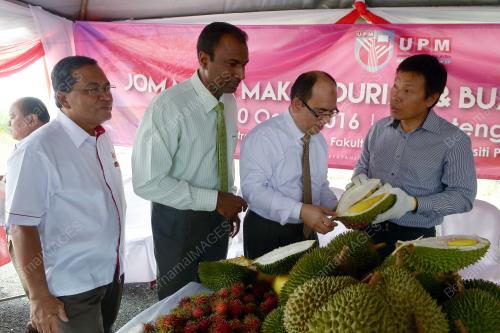 KL09_10082016_DURIAN_UPM