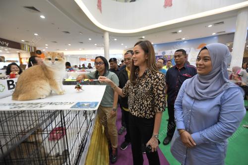 KL09_12012019_KUCING_BN201901117927