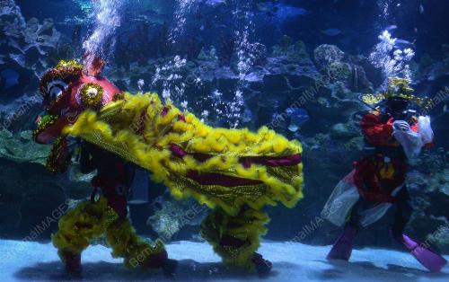 AQUARIA TAHUN BAHARU CINA