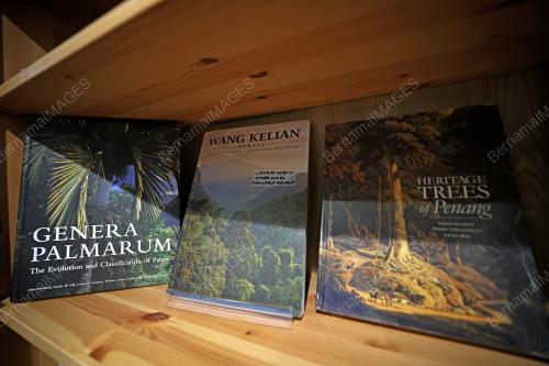 SUNDA SHELVES
