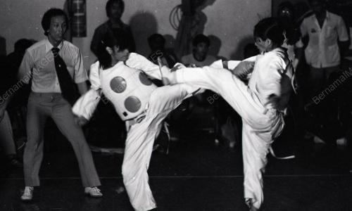 TAEKWONDO
