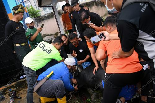 PROGRAM IBADAH KORBAN APM