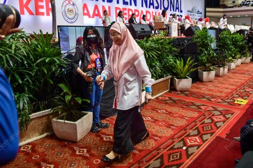 DATUK SERI DR WAN AZIZAH WAN ISMAIL