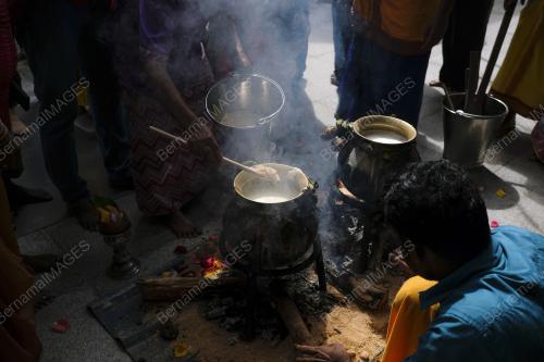 PESTA PONGGAL