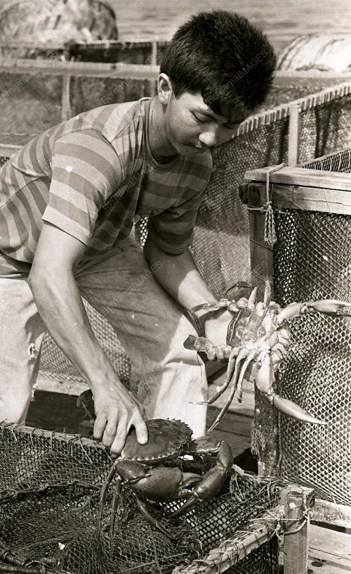 KHASIAT KETAM