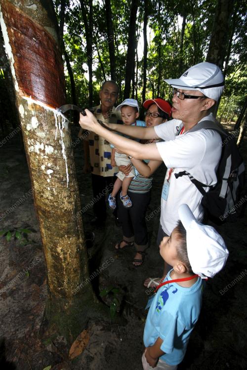 RAIL TOURISM HOMESTAY