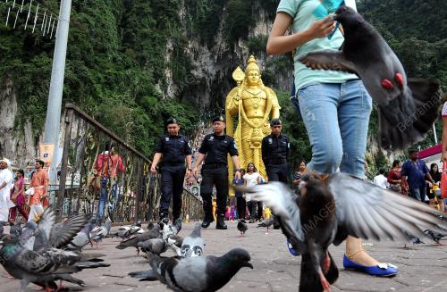 KL09_16012014_THAIPUSAM