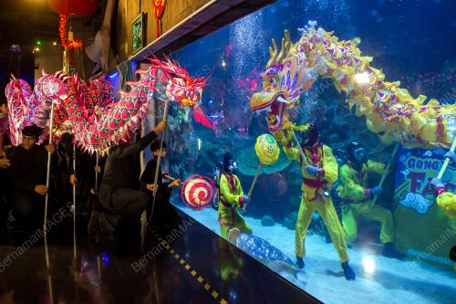 TARIAN NAGA AQUARIA KLCC