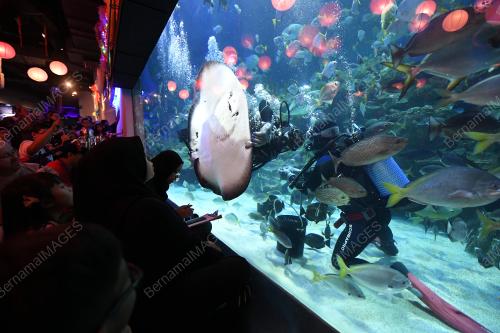 KL09_17022018_AQUARIA
