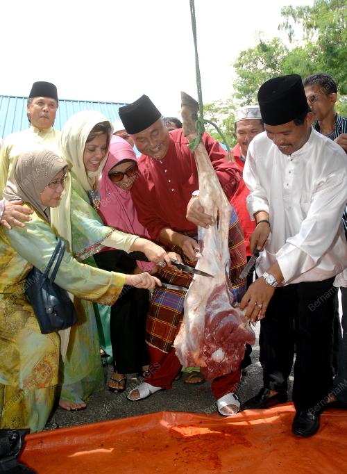 SHAHRIZAT ABDUL JALIL