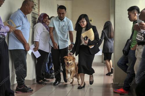 KL09_18012008_FURBY_BN201801075468