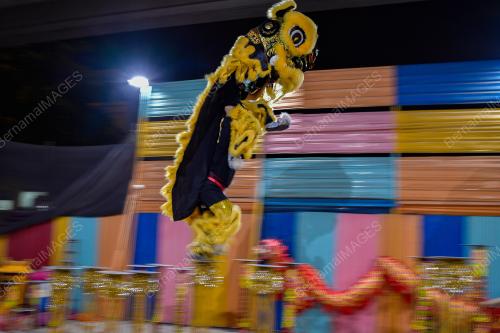 TECK SENG DRAGON & LION DANCE