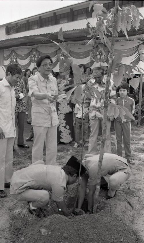 HARI PERHUTANAN DUNIA