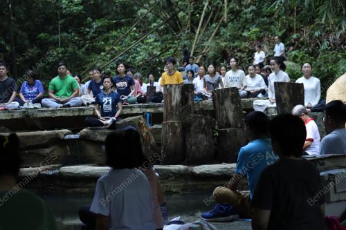 TERAPI HUTAN
