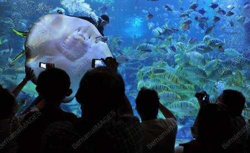 KL09_21082012_AQUARIA