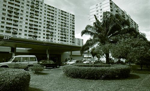 KL09_220690_BUNGA