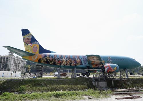 MURAL BOEING 737