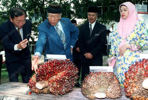 AGON LAWAT PORIM