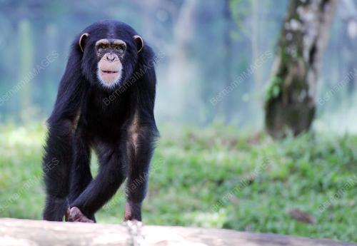 KL09_24072016_ZOO