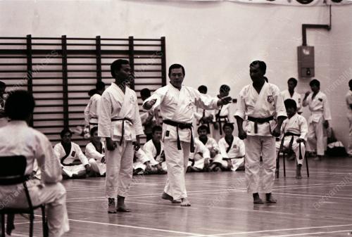 SENI SILAT POLIS