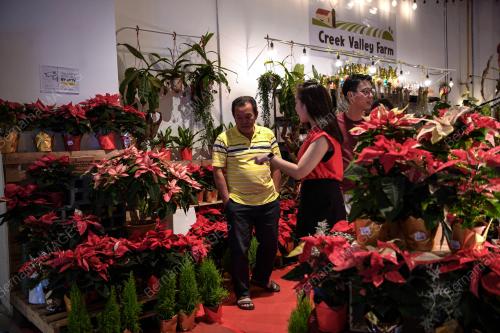 PERSIAPAN KRISMAS