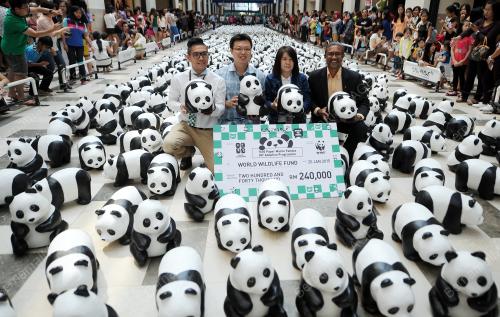 KL09_25012015_PANDA