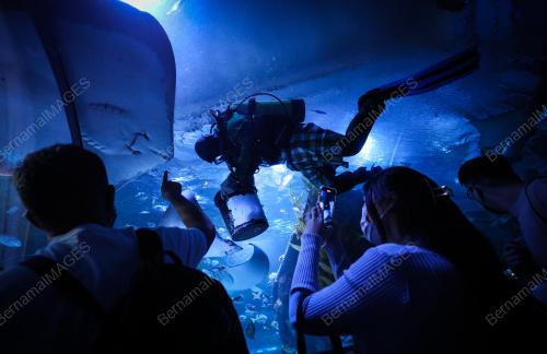 TINJAUAN CUTI UMUM AQUARIA