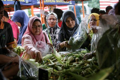 KL09_26082016_FAMA