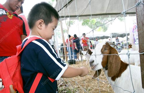 MAHA 2010