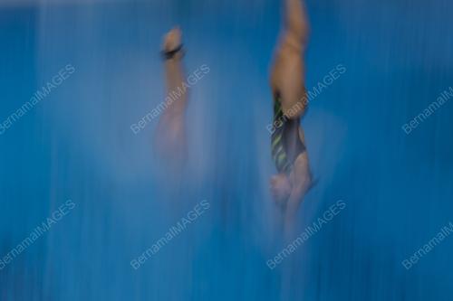 FINA DIVING GRAND PRIX 2022