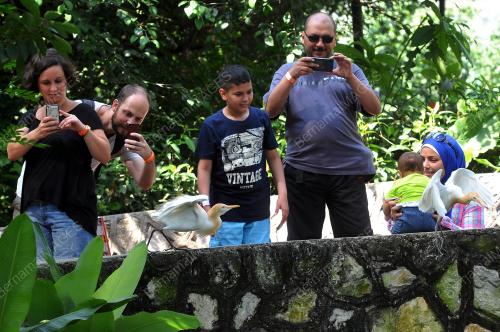 KL09_28022015_TAMAN_BURUNG