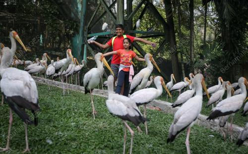 KL09_30122018_TAMAN_BURUNG
