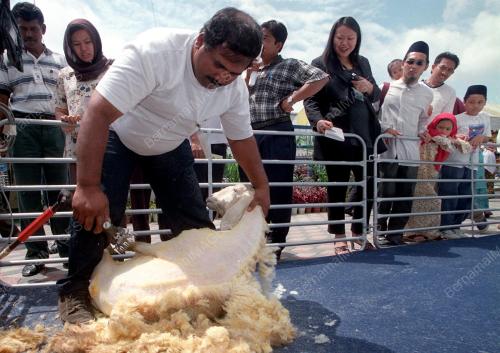 KL10-29_07_2000_KETAM_BULU_11012016