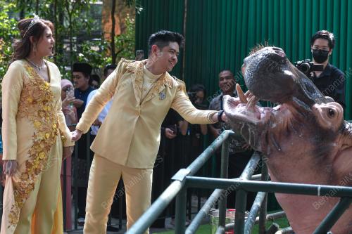 ZOO NEGARA ANJURKAN PAKEJ PERKAHWINAN