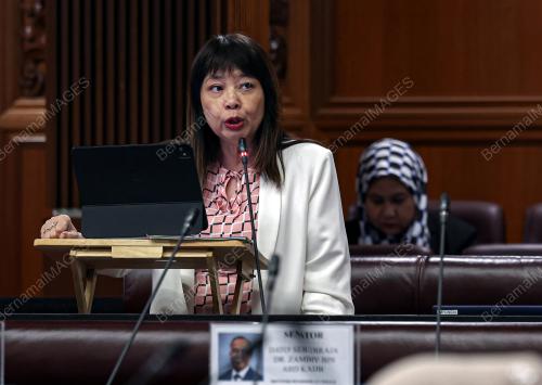 LIM HUI YING