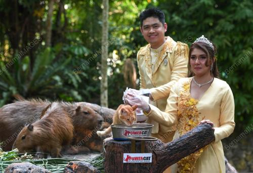 ZOO NEGARA ANJURKAN PAKEJ PERKAHWINAN
