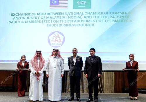 TENGKU DATUK SERI ZAFRUL ABDUL AZIZ