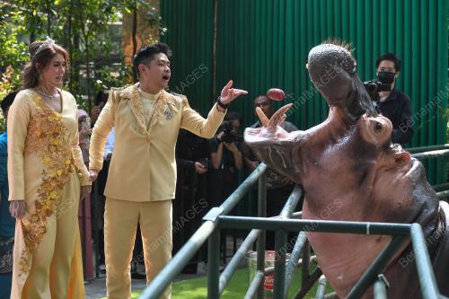 ZOO NEGARA ANJURKAN PAKEJ PERKAHWINAN