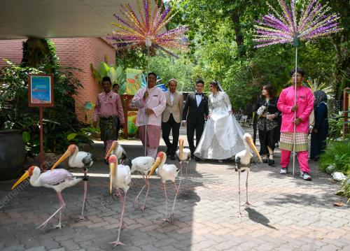 ZOO NEGARA ANJURKAN PAKEJ PERKAHWINAN