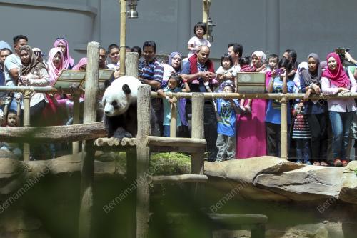 KL10_01012017_ZOO_NEGARA