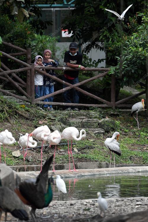 TINJAUAN CUTI UMUM TAHUN BARU 2021