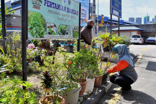 TINJAUAN PERINTAH KAWALAN PERGERAKAN