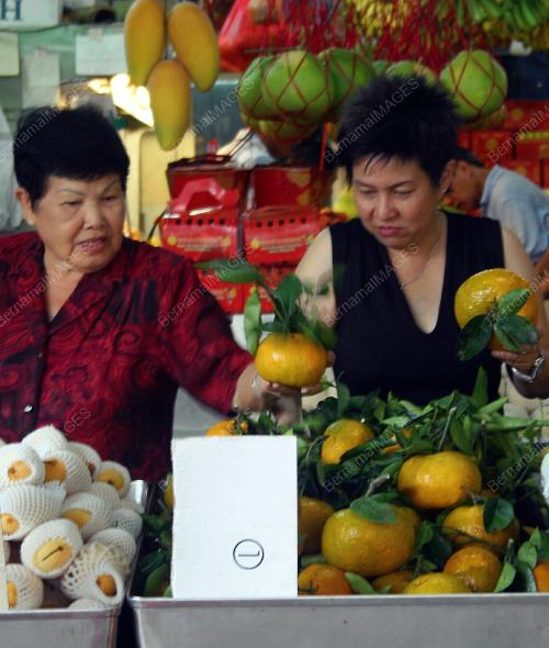 TAHUN BARU CINA